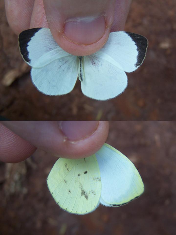 FIGURE 3 FIGURE 3